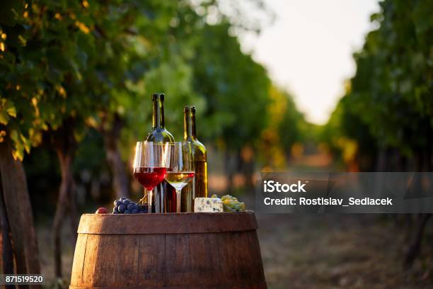 Foto de Dois Copos De Vinho Com Garrafas Ao Pôr Do Sol Vermelho E Branco e mais fotos de stock de Vinhedo