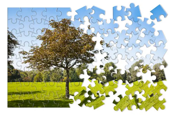 Isolated tree in a green meadow - environmental conservation concept image in jigsaw puzzle shape