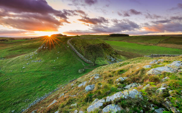 coucher de soleil à l’écart de sycomore, northumberland, angleterre - pennine way photos et images de collection