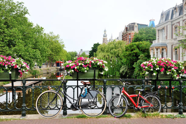istock Amsterdam, Holland - bicycles and flowers over a bridge 871526788