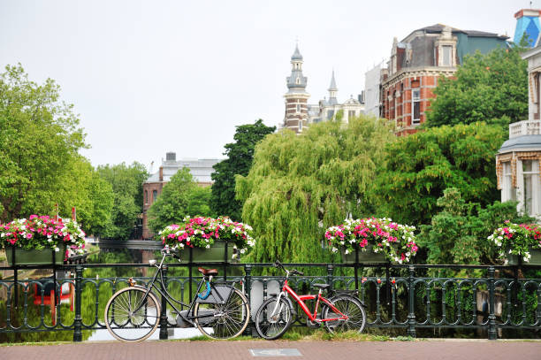 istock Amsterdam, Holland - bicycles and flowers over a bridge 871526820