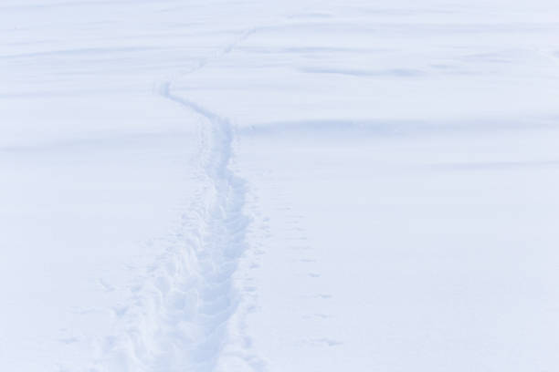 istock climbers trail in the snow as a background 871528582