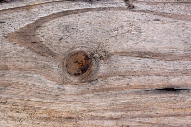 istock Real natural wood texture and surface background 871533660