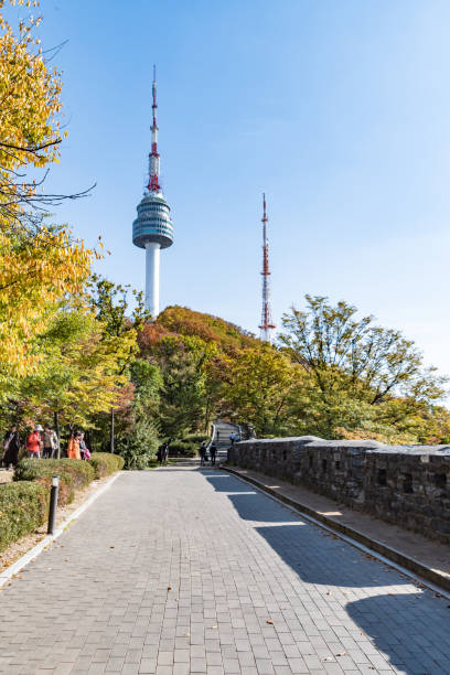 People walk along a footpath to N Seoul Tower in Seoul, with autumn leaves on the trees.