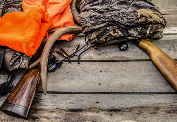 veado caça gear fundo com rifles, chocalho galhadas, veado chama e camuflagem - veado - fotografias e filmes do acervo