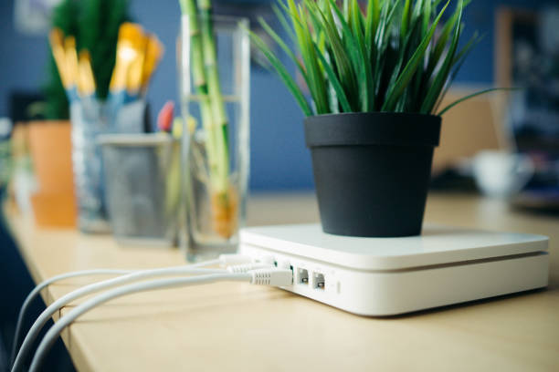 Router Closeup of a broadband router, plant in pot is placed on router, with a blur background. router stock pictures, royalty-free photos & images