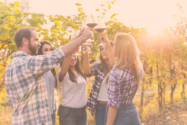 Toasting at sunset in the vines