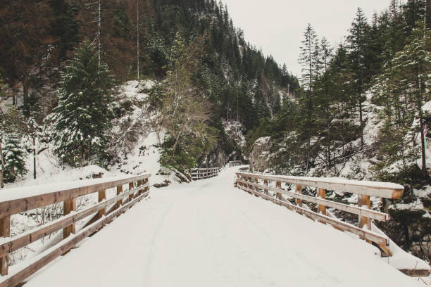 istock Wooden bridge in the mountains 871544250
