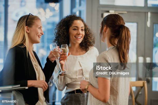 Enjoying Drinks After Work Stock Photo - Download Image Now - Networking, Women, Only Women