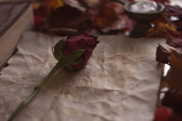 Empty old paper with rose and a candle and Bible on wooden table stock photo