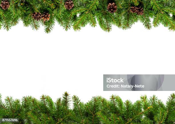 Evergreen Branches On White Stock Photo - Download Image Now - Garland - Decoration, Floral Garland, Christmas