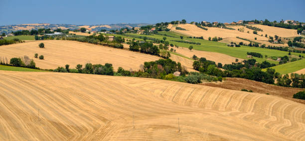 istock Summer landscape in Marches (Italy) near Ostra 871564156