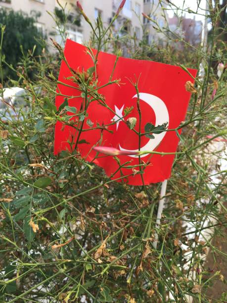 istock Turkish Flag in Flowers in a Garden 871564802