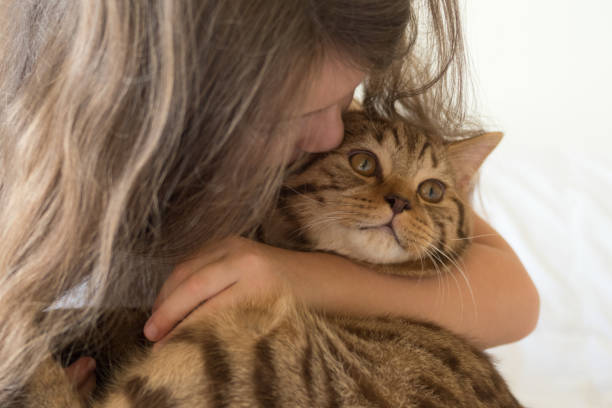 istock Little girl with cat 871572858