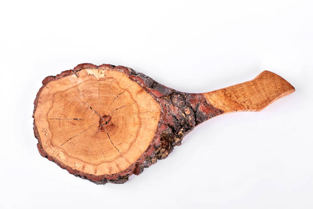 istock Slice of natural wood, white background. 871578638