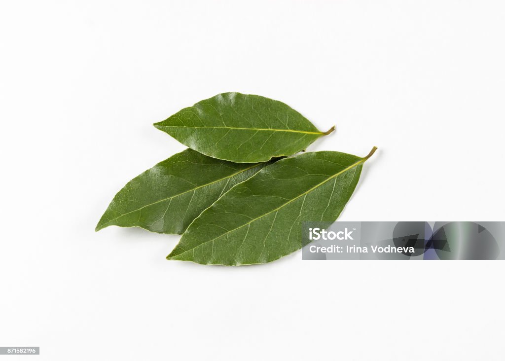 Isolated bay leaf. Laurel  leaves on a white background. Bayleaf. Isolated bay leaf. Laurel  leaves on a white background. Bayleaf. laurel lea. Bay Leaf Stock Photo