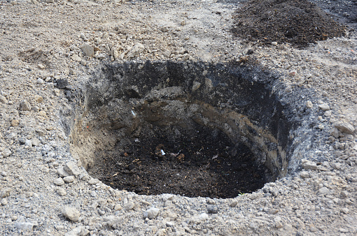 Tree organic fertilization Compost in digging hole. Organic fertilizer for tree planting. Tutorial.