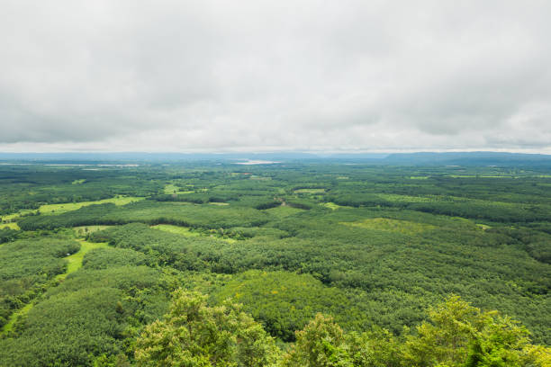 istock Green forest landscape high angle view with black clouds 871588254