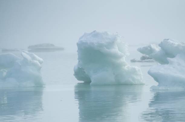 istock Icebergs in the Arctic Ocean 871600900
