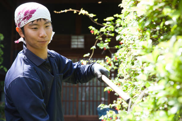 istock Young Japanese Gardener 871602184