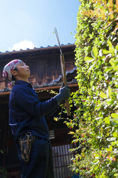 istock Young Japanese Gardener 871604564