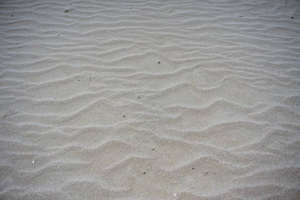 istock Waves in the white sand of beach 871604796