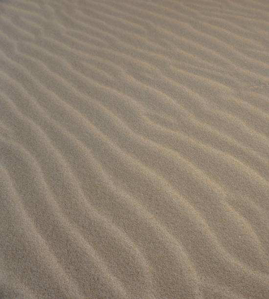 istock Waves in sand on windy day at the beach 871604802