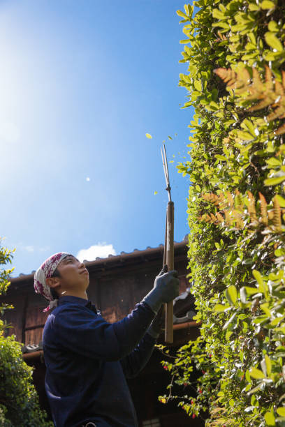 istock Young Japanese Gardener 871604846