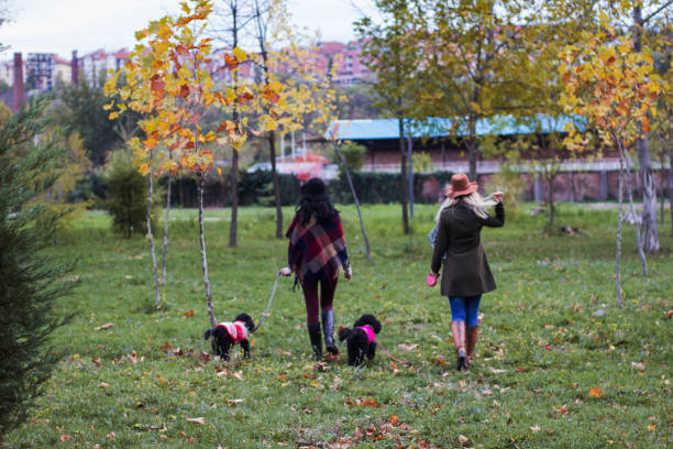 istock Two girls walk in the park 871606452