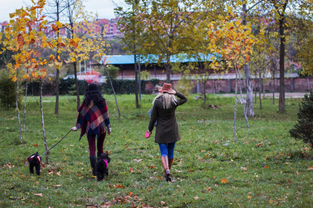 istock Two girls walk in the park 871609222