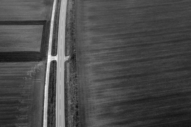 istock Road through agricultural area - aerial view 871610644