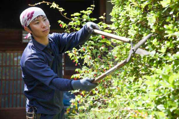 istock Young Japanese Gardener 871610678