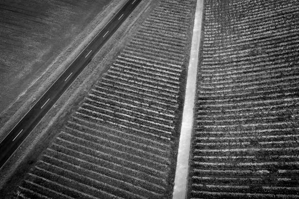 istock Road through agricultural area - aerial view 871610700