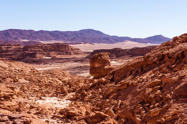 istock Sinai desert landscape 871613424