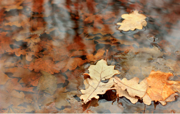 istock autumn landscape with reflection in water 871613668