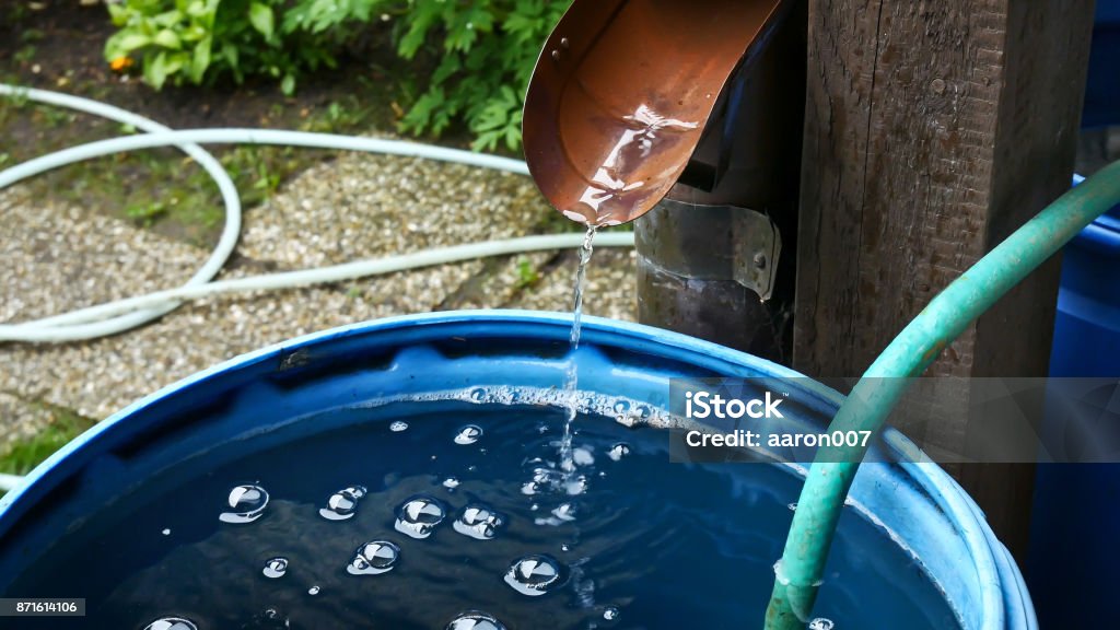 Rain Water Is Streaming into Barrel in the Garden. taken from footage Rain Stock Photo