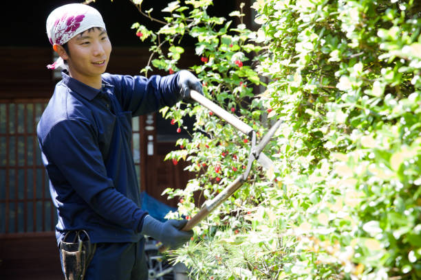 istock Young Japanese Gardener 871616786
