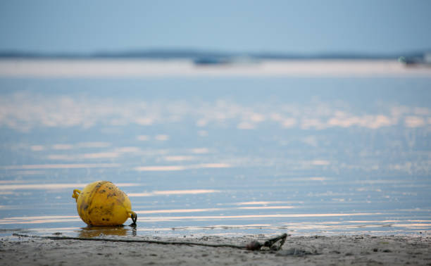 istock Yellow Buoy Stranded On Sand At Low Tide 871617652