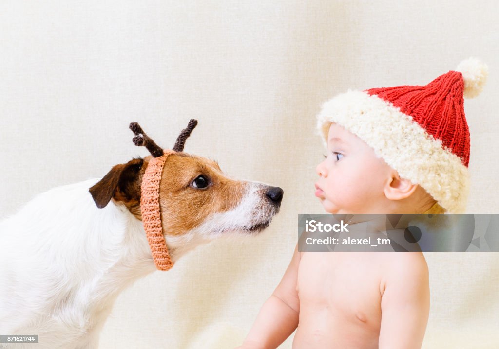 Amusing Santa Claus meets funny reindeer. Concept for 2018 year of Yellow Earth Dog Jack Russell Terrier and baby boy in Christmas costumes Baby - Human Age Stock Photo