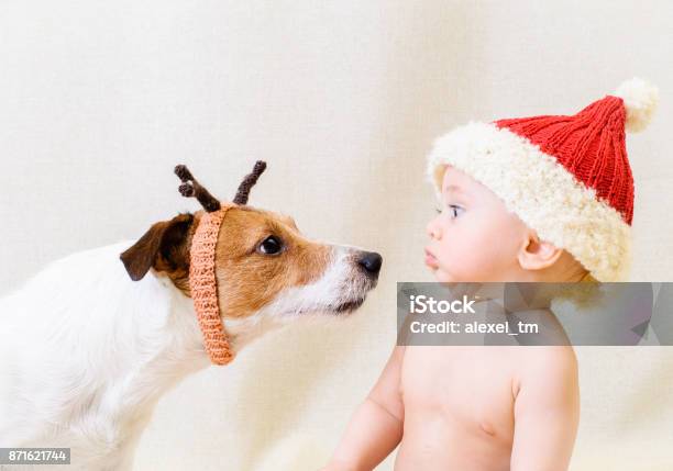 Amusing Santa Claus Meets Funny Reindeer Concept For 2018 Year Of Yellow Earth Dog Stock Photo - Download Image Now