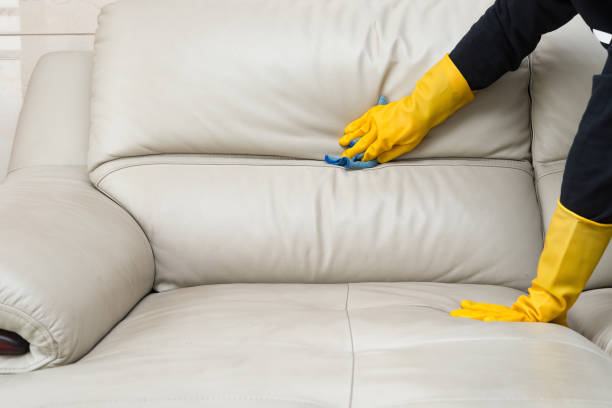 cleaning leather sofa at home stock photo