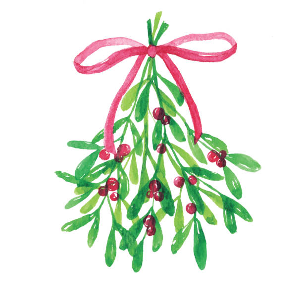 ilustrações, clipart, desenhos animados e ícones de mitletoe aquarela com fita vermelha - mistletoe christmas isolated holiday