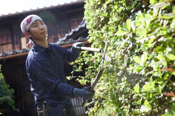 istock Young Japanese Gardener 871628142