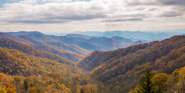 the great smoky mountains - great smoky mountains gatlinburg great smoky mountains national park appalachian mountains imagens e fotografias de stock