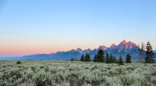 istock Grand teton at sunrise with range extending into distance 871635316