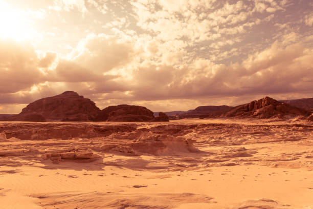 istock Panorama Sand desert Sinai, Egypt, Africa 871635690