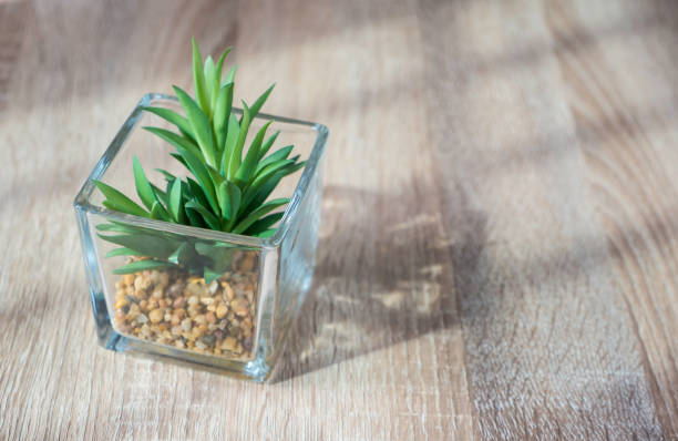 istock little plant in glass pot on the table with light and shadow style 871644622
