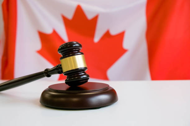istock Gavel and Flag of Canada 871645472