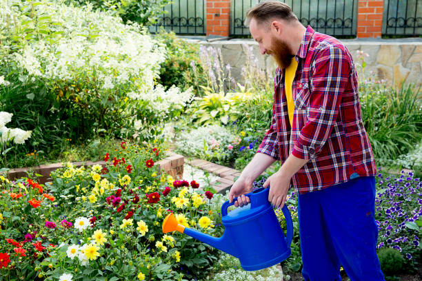 istock Happy man gardening 871652716