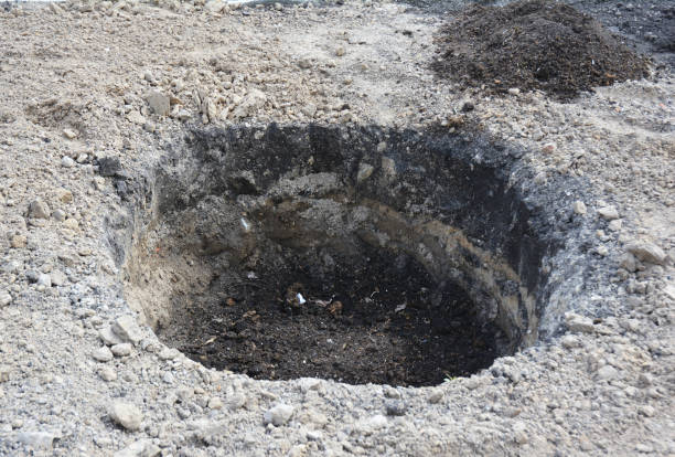 istock Tree organic fertilization Compost in digging hole. Organic fertilizer for tree planting. 871652944
